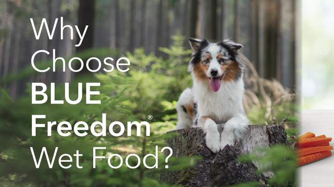 Blue Buffalo Freedom Grain Free Wet Dog Food Chicken Recipe Puppy - 12.5oz/12ct Pack, 2 of 7, play video