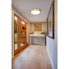 Madison 16.5" LED Flush Mount Ceiling Light - Dimmable, Damp Rated, Modern Design - 4 of 4