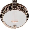 Recording King Bluegrass Series RK-R20 Songster Banjo - 2 of 4