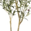3.9ft Artificial Olive Tree, Realistic Potted Olive Tree, Artificial Olive Tree Plants with Leaves and Fruits - 3 of 4