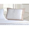 Greenland Home Fashions Brentwood Ivory/Taupe Standard Sham, 20x26 Inches - 4 of 4