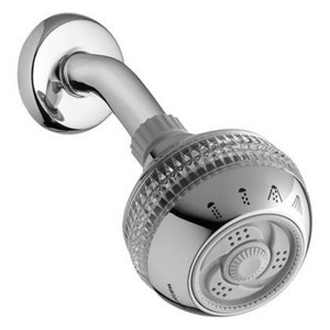 Waterpik EcoFlow Chrome 4 settings Showerhead 1.8 gpm Model No. SM-423CGE (Case of 2) - 1 of 1