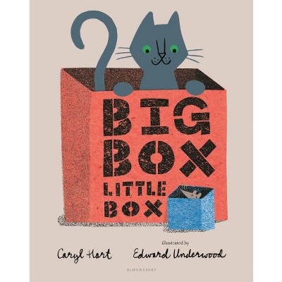 Big Box Little Box - by  Caryl Hart (Hardcover)