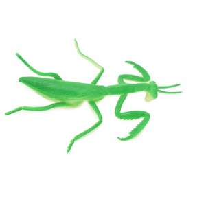 Collectible Wildlife Gifts | Praying Mantis,  Rubber Insect, Educational, Realistic Hand Painted,  Model,   Gift,     3"   US21 B44 - 1 of 4