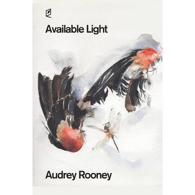 Available Light - by  Audrey Rooney (Paperback)