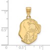 Black Bow Jewelry 10k Yellow Gold Tennessee Volunteers NCAA Large Pendant - 2 of 3