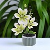 Unique Bargains Artificial Plants 3-Stem Magnolia Plastic 3.94"x3.94"x11.42" 1 Pcs - 2 of 4