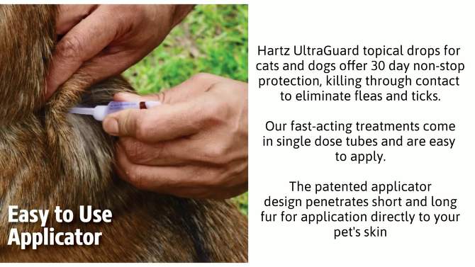 Hartz Ultra Guard Flea &#38; Tick Collar Pet Insect Prevention - 26&#34; - 1ct, 2 of 6, play video