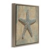 Stupell Industries Starfish Beach Objects Design, 18" x 18" - 3 of 4