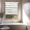 Chicology Light Filtering Zebra Curtain Shade - 3 of 4
