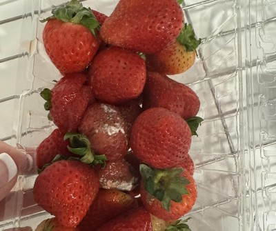 Guest review image 1 of 1, zoom in