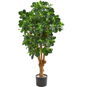 Nearly Natural 3-ft Panda Ficus Artificial Tree - 1 of 1