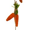 64" String of Carrots Garland - 3 of 4