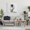 Stupell Industries Farmhouse Fuzzy Sheep Portrait Canvas Wall Art - 2 of 4