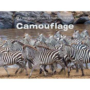 Camouflage - (Science for Toddlers) by  American Museum of Natural History (Board Book)