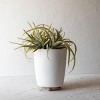 Footed Planter White Terracotta by Foreside Home & Garden - 2 of 4