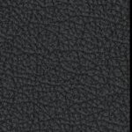 san francisco giants