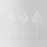 3pc LED Faux Birch Twig Christmas Novelty Sculpture Light Warm White - Wondershop™