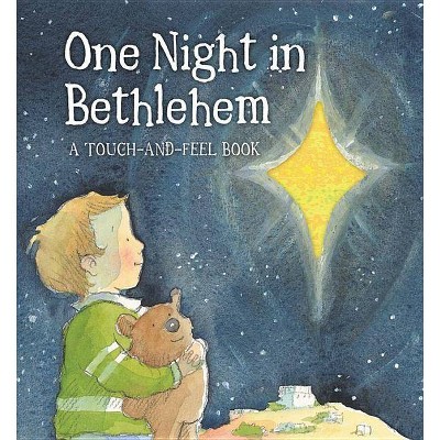 One Night in Bethlehem - by  Jill Roman Lord (Board Book)