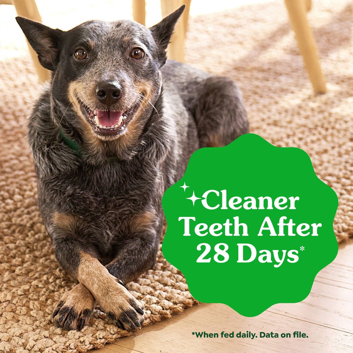Greenies Large Chicken Flavor Chewy, Dental Hard Chews Dog Treats - thumbnail 5