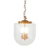 Pendant Lamp - Coarse Gold and Clear Glass - 3 of 4