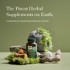 Gaia Herbs Liver Cleanse - Liver Health Support Herbal Supplement - 60 Vegan Liquid Phyto-Caps - 3 of 4