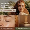 Gya Labs Organic Rosemary Essential Oil Rosemary Oil 0.34 Fl Oz - 4 of 4