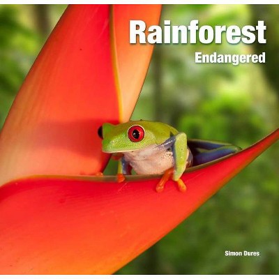 Rainforest - (Abandoned Places) by  Simon Dures (Hardcover)