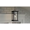 Moira 1-Light Earth Black Outdoor Hanging Lantern - 3 of 4