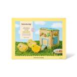 Easter Chicken Coop House with Chicks Cookie Kit - 19.68oz - Favorite Day™