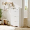 Shoe Storage Cabinet for with 2 Flip Drawers, 31.5" Fluted Narrow Shoe Cabinet with Adjustable Shelf, Freestanding Wooden Rack Organizer, Natural - 4 of 4