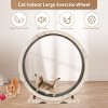 Cat Running Wheel Designed For Indoor, Silent Design Cat Exercise Wheel, Weight Capacity Of 130 Pounds-Cuddlewood - 3 of 4