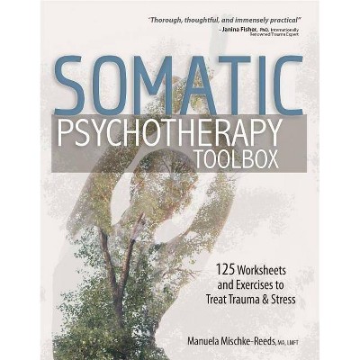 Somatic Psychotherapy Toolbox - by  Manuela Mischke-Reeds (Paperback)