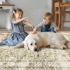 Hallway Runner Rug Machine Washable Vintage Rug Indoor Carpet - 4 of 4