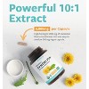 USDA Organic Dandelion 10:1 Root Extract Capsule, High Strength Dandelion Root Supplement for Liver Cleanse Detox & Repair Support, Pure Co, 60ct - 4 of 4