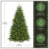 National Tree Company Pre-Lit PowerConnect Princeton Fraser Fir Artificial Christmas Tree Dual Color LED Lights - 4 of 4
