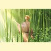 Trends International Fruits Basket - Kyo Soma Unframed Wall Poster Prints - 4 of 4