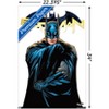 Trends International DC Comics - Batman Feature Series Unframed Wall Poster Prints - 3 of 4