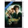 Trends International Harry Potter - International One Sheet Unframed Wall Poster Prints - 3 of 4