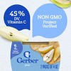 Gerber Baby Food Stage 2 Pear Puree Tub - 2ct/4oz Each - 4 of 4