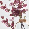 GAOMON 13'' Artificial Eucalyptus Stems in Vase with Faux Water, Faux Eucalyptus Plant with Double-Sided Magenta Leaves - 4 of 4