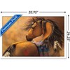 Trends International Laurie Prindle - Kiowa Gold Framed Wall Poster Prints - 3 of 4