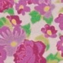 regency rose c01