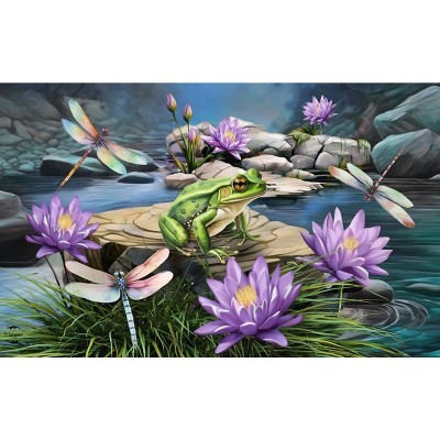 Briarwood Lane Spring Doormat 30x18 Indoor Outdoor Dragonflies and Frog For Spring Doormat
