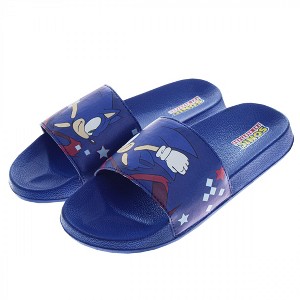 Adult Sonic the Hedgehog Slide Sandals - 1 of 1