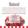Livelong Healthy & Strong Bison & Sweet Potato Wet Dog Food, 12pk 12.5oz Cans - 4 of 4