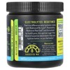 Redmond Trading Company Re-Lyte® Hydration, Lemon Lime, 7.2 oz (204 g) - 3 of 4
