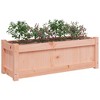 vidaXL Garden Planters 2 pcs Solid Wood Douglas - 4 of 4
