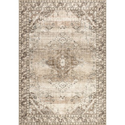 Nuloom Hillstone Collection Ahmeira Traditional Vintage Medallion Area Rug