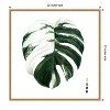 Amanti Art Variegated Monstera II by Grace Popp Canvas Wall Art Print Framed 22 x 22-in. - 4 of 4